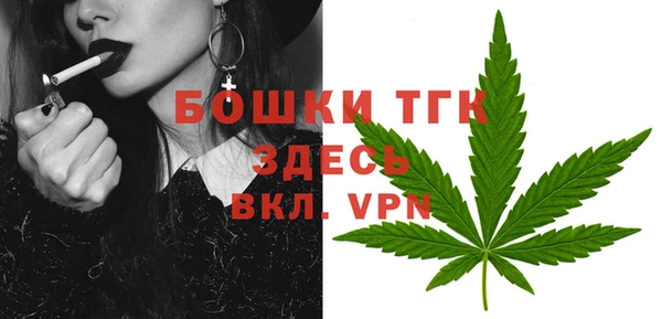 сатива Нея