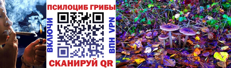 Псилоцибиновые грибы мицелий  Купить где  Игарка 