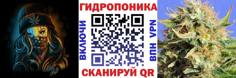 Купить где  Игарка  Канабис конопля 